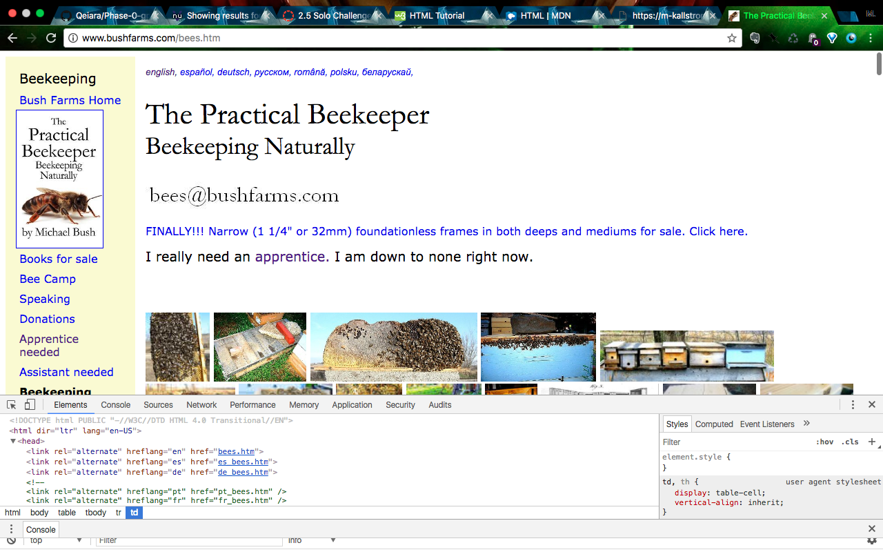 The website and source code